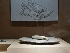 -烟台市博物馆