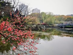 -莫愁湖公园