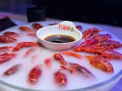 -红盔甲·小龙虾(定西路店)