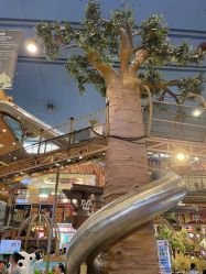 -卡通尼·Safari非洲探索乐园·生日会(金桥国际商业广场店)