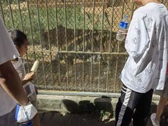 -昆明动物园