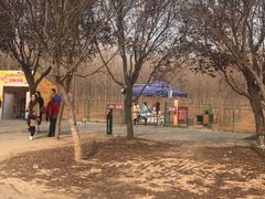-汉景帝阳陵博物院