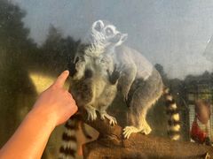 -泉州海丝野生动物世界