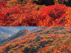 -周口店坡峰岭风景区