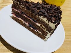 -藏猫猫咖啡主题馆(中央大道店)