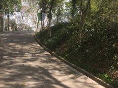 -广州雕塑公园