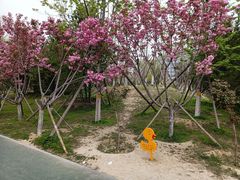 -回龙观体育文化公园