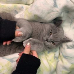 -Miss·A日式美甲美睫