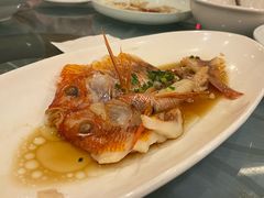 -全聚德(上海首店浦东店)