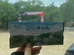 -天目湖松岭竹海漂流