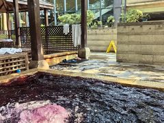 -春晖园度假酒店温泉