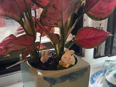 -伊斯麦尔丝路·新派菜(沙子口店)