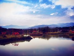 -天适樱花悠乐园