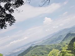 -莫干山风景区