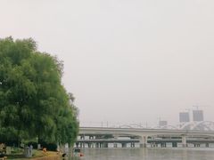 -灞河西岸滨河公园