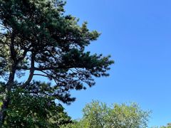 -北京西山国家森林公园