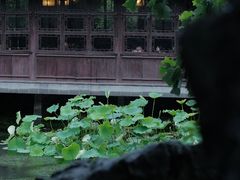 -艺圃