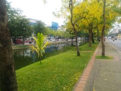 -芒果糯米饭摊子