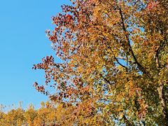 -泰州凤城河风景区-泰山公园