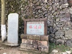 -仙霞关景区