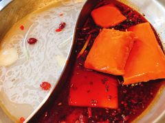 -杨家火锅(国美店)