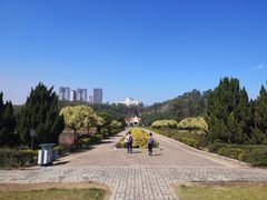 -南沙蒲洲花园
