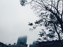 -陈添記·祖傳爽鱼皮·西关老字号(广州首店)