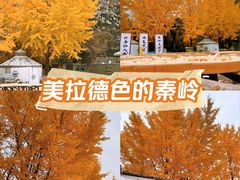 -西安祥峪森林公园