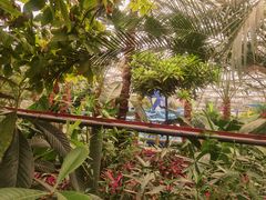 -南宫五洲植物乐园