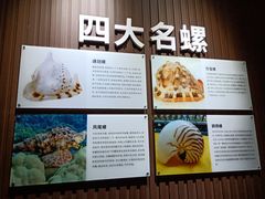 -贝壳王国博物馆