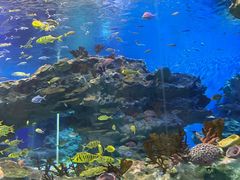 -海合安成都极地海洋公园