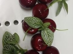 -儒宴江南菜·新淮扬菜·烤鸭(总部基地丰体店)