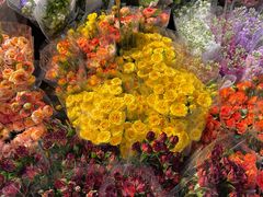 -循礼门鲜花花市(武汉循礼门店)