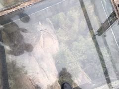 -玻璃桥景区石牛寨