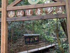 -西双版纳原始森林公园
