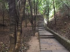-缙云山景区