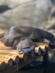 -Zoolung Zoolung动物主题公园(海信广场店)