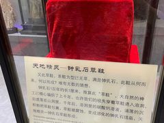 -游龙石文化科普馆
