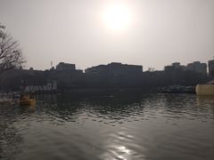 -莲湖公园