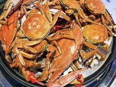 -半岛听涛蒸汽海鲜自助(K11店)