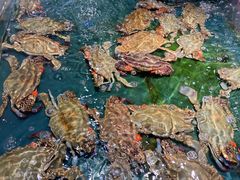 -龙宴海鲜城(经中路店)