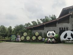 -都江堰中华大熊猫苑