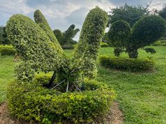 -东莞植物园