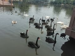 -无锡动物园·太湖欢乐园