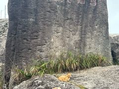 -东白山