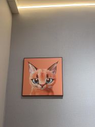 -洗脸猫·洗脸吧