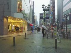 -涩谷全向十字路口
