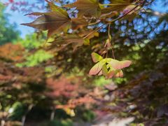 -南京市江宁方山