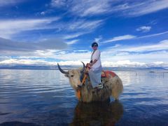 -青海湖国家重点风景名胜区