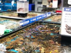 水产区-盒马鲜生(皇庭广场店)